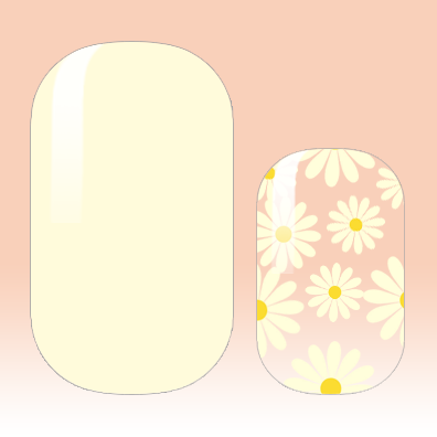 Cream Daisies