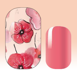 Sheer Poppies